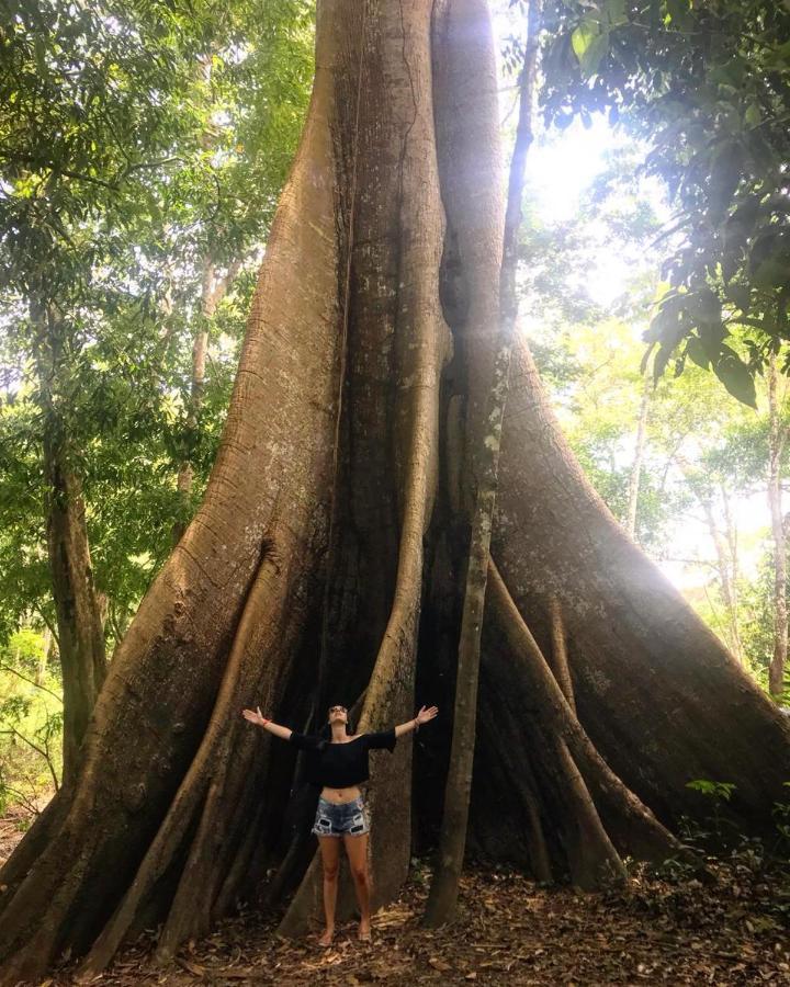 Amazonia Lodge Exxperience Paricatuba Екстер'єр фото