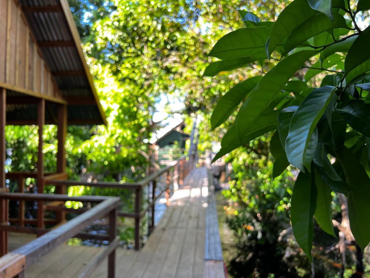 Amazonia Lodge Exxperience Paricatuba Екстер'єр фото
